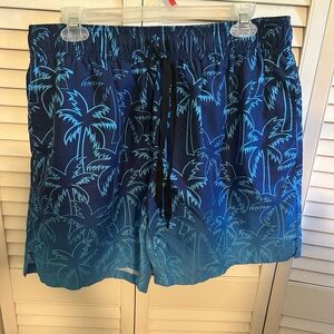 🌊 Men’s Bathing Suit Size XL